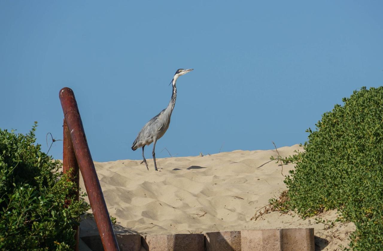 Hotel The Gull Sedgefield Esterno foto